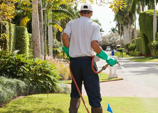 About Lone Rock IA Pest Control